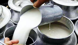 Mumbaikars face milk price hike ahead of festive season
