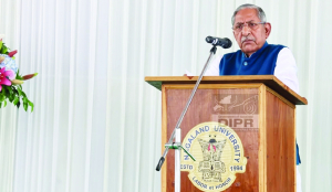 Nagaland Guv stresses need for stronger enforcement against illicit liquor, drugs