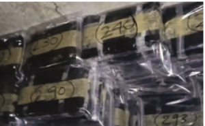 NCB crackdown: 349 kg cocaine seized in Mumbai