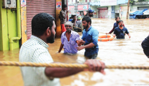 NCRMP expenditure reaches Rs 4,331.68 cr since 2011: Govt