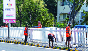 NDMC gears up for BRICS with 15,000 potted plants, floral displays