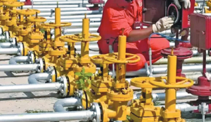 NDMC initiates measures to facilitate speedy expansion of PNG