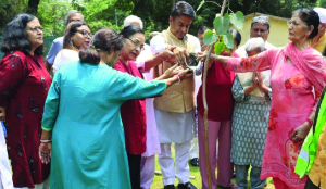 NDMC marks Mother’s Day with plantation drive