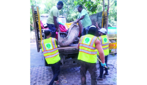 NDMC removes 60 metric tonnes of waste from Jantar Mantar