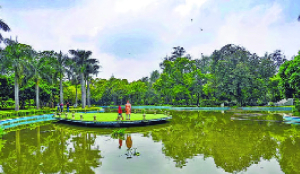 NDMC to clean Nehru Park lake using bio-remediation treatment