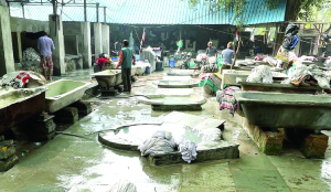 NDMC to set up 5 ETPs at dhobi ghats to recycle water for parks