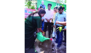 NDMC vice-chairperson leads tree plantation drive in Laxmibai Nagar
