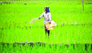 Need conducive policy to promote specialty fertilisers, says FAI