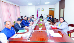 Nepal cabinet recommends Ambassadors to 13 countries