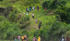 Nepal floods : Bihar evacuates 100 Maharashtra pilgrims, sends them home by train