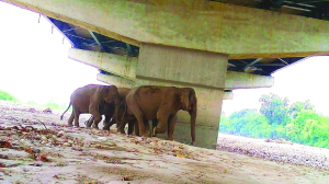 New highway between Delhi, Dehradun balances development with nature