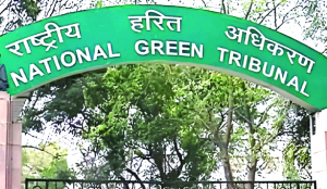 NGT allows fresh petition over illegal mining on forest land in Lahaul-Spiti, Kullu districts