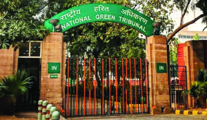 NGT asks NMCG to trace origin of Budhi Ganga river in UP