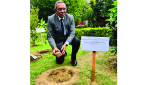 NGT Chairperson Justice Prakash Srivastava leads plantation drive