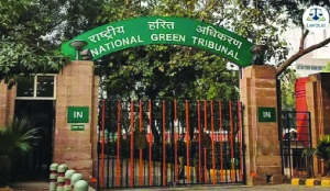 NGT directs completion of proceedings to levy Rs 2.65 cr on BHU for illegal tree-felling