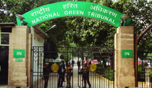 NGT directs Govt to take steps to unclog drain in Hari Nagar