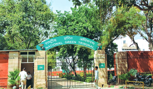 NGT issues notice to NMCG, others over Yamuna pollution