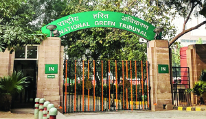 NGT orders Bhoj Wetland encroachments removed by August 31