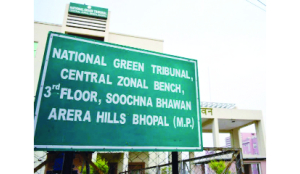 NGT orders replacement of dead saplings and tighter waste control in Bhopal