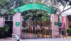 NGT penalises authorities for late environmental reports, responses