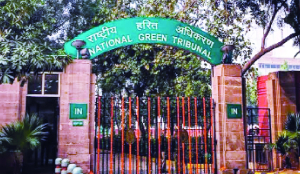 NGT restrains operation of brick kiln, stone crusher in Assam’s Nalbari