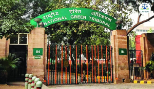 NGT seeks Delhi Police’s response for not providing adequate security to panel