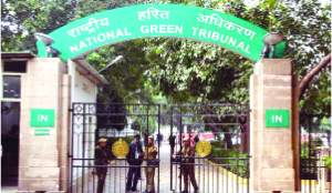 NGT seeks Govt’s response on plea against new Ganga rules