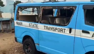 Niger state protests: Tear gas fired after 37 miners die in custody