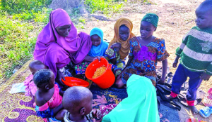 Nigerian children pay the price for West Asia crisis as malnutrition, poverty surge