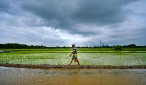 Nitrate contamination in groundwater across 502 districts in 26 states, UTs : Govt tells Lok Sabha