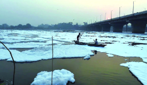 NMCG launches wetland projects to clean Yamuna drains