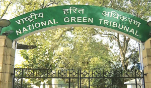 No events in Delhi parks for more than 10 days: NGT