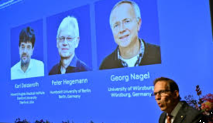 Nobel medicine prize goes to three scientists for work on brain activity