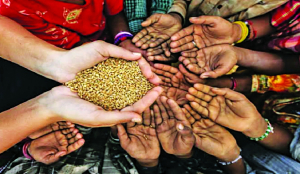 Nutrition security: Why strategic food reserves matter for BRICS