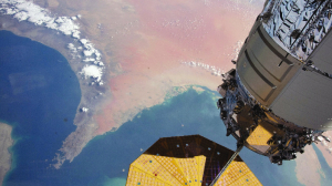 Oil prices fall globally, LPG disruptions persist in India