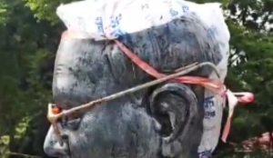 One detained after Ambedkar statue vandalised