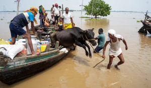 Over 19 lakh affected as Bihar floods worsen