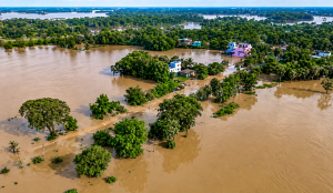 Over 2.77 lakh evacuated as Odisha floods persist; CM tours worst-hit areas