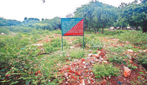 Over 225 acres of forest land made encroachment-free: Govt