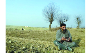 Over 520 kanals of migrant land retrieved in Kashmir, 12,000 grievances logged