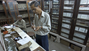 Over 8,300 bottles of codeine-laced cough syrup seized in Manipur