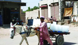 Pak’s Dadu records 51.5 degree Celsius, new high in Sindh