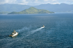 Pak Navy vessel collides with Indian Navy ship: MEA summons Pakistan Charge d'Affaires