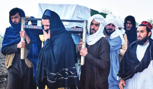 Pakistan kills 331 Afghan Taliban fighters