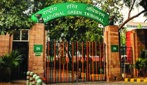 Panel asks NGT to use suo motu on critical environmental concerns