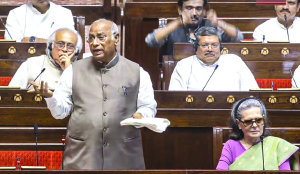 Parliament clears anti-paper leak law