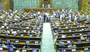 Parliament panel seeks ground check of physical check-posts
