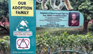 Pawan Kalyan's wife adopts elephant, tiger at Vizag Zoo