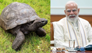 PM Modi meets world's oldest living land animal Jonathan during Seychelles visit