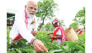 PM Modi visits Assam tea gardens, plucks leaves with workers